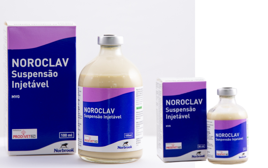 noroclav_injectavel